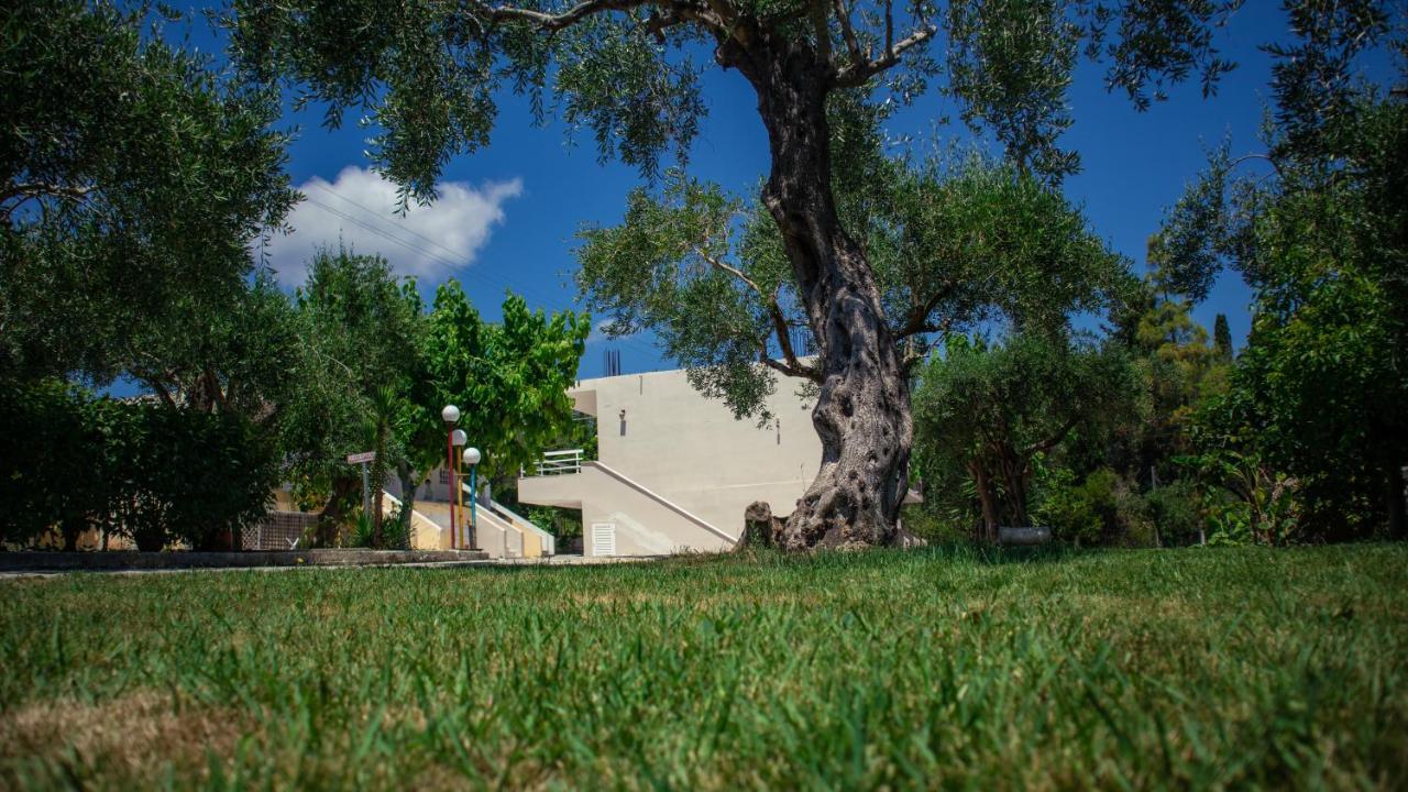 Kalypso Studio Resorts Kavos Exterior photo