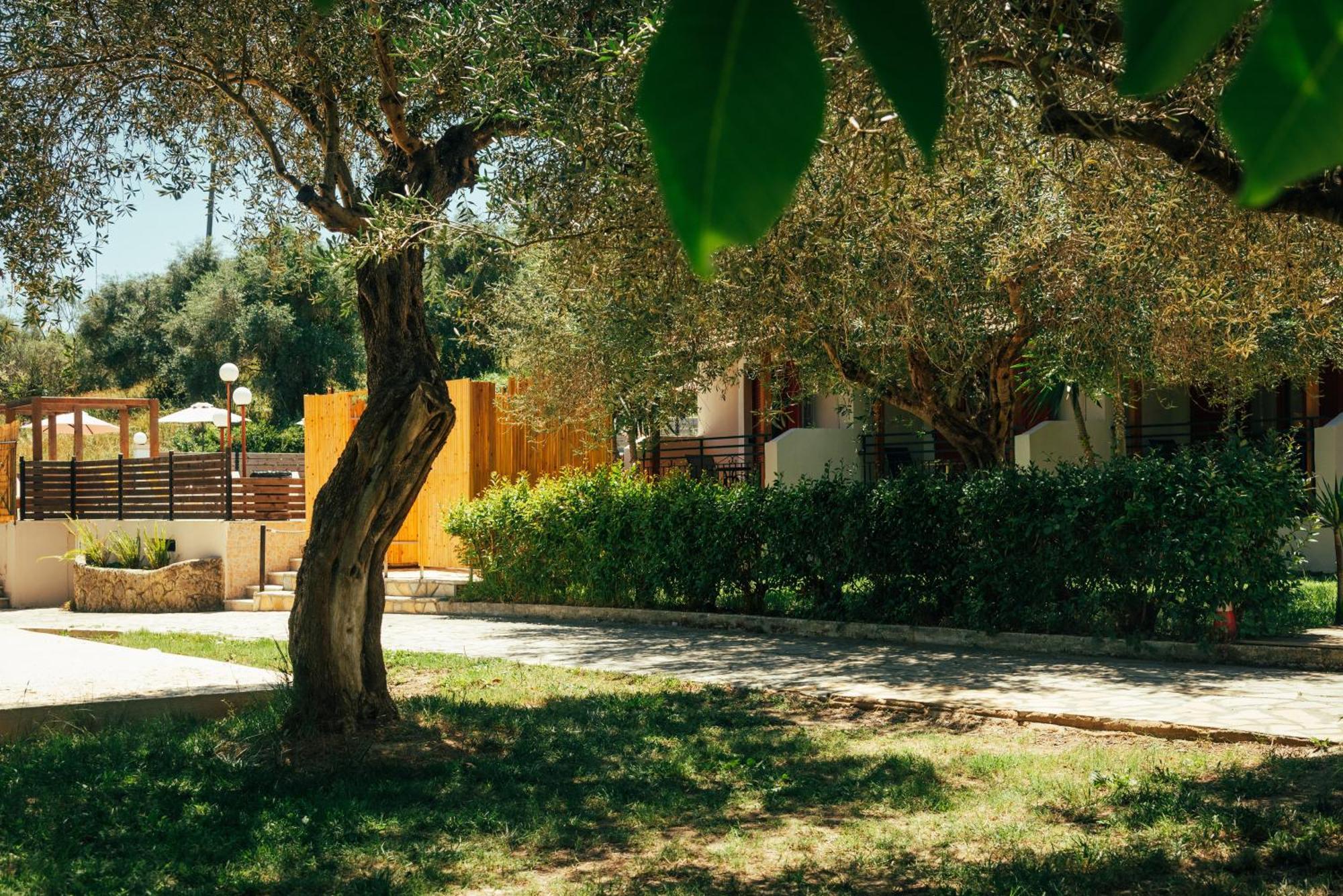 Kalypso Studio Resorts Kavos Exterior photo